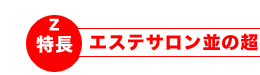 モバイルレーザーが送料無料!!さらに消費税まで無料で即日発送!!