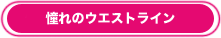 超音波美顔器ハンディピュアソニックS