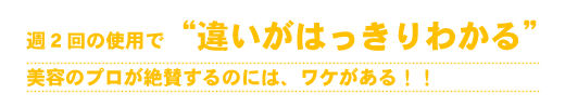 超音波美顔器ハンディピュアソニックS