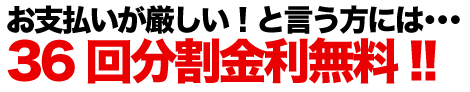 最大36回分割金利無料